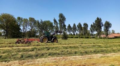 Tractor op een veld Tractor op een veld