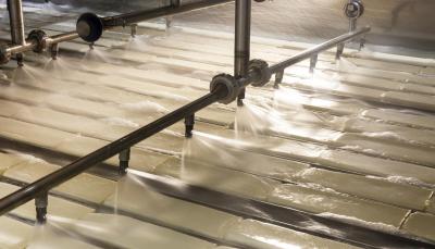 Productie mozzarella Milcobel Productie mozzarella Milcobel