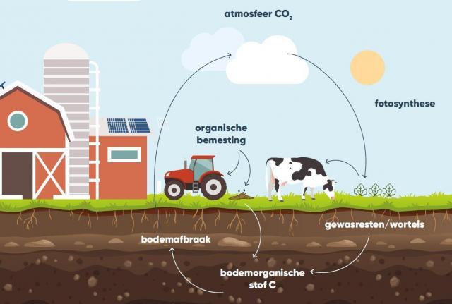 Koolstofopslag in de bodem