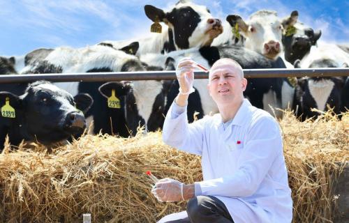 Diergezondheid in de melkveehouderij