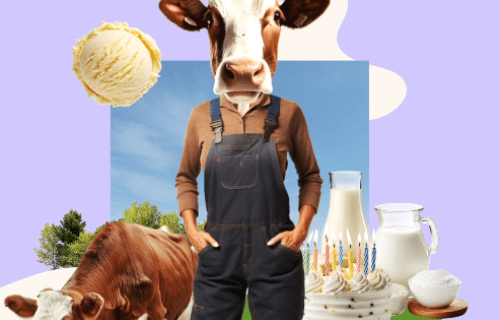 Melkmuil Evelyne