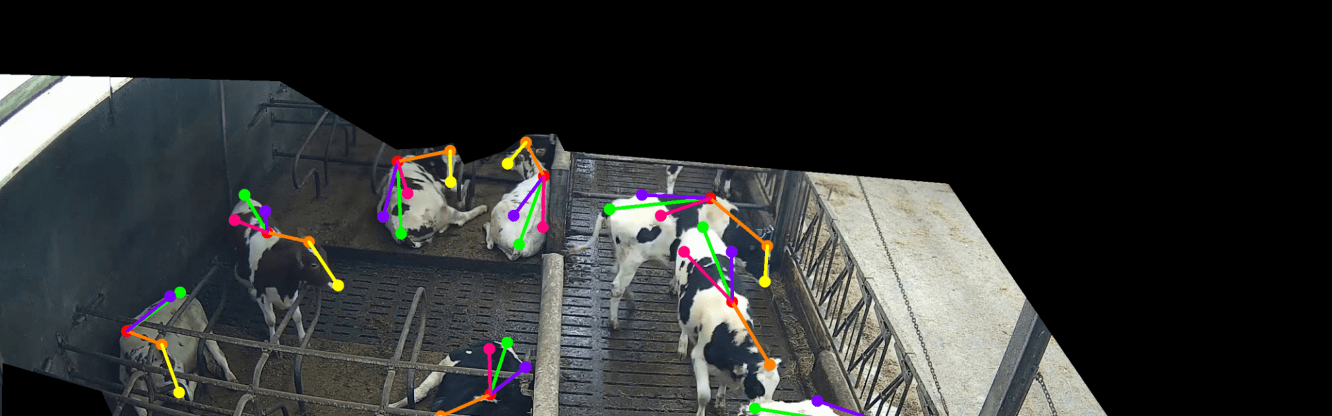 Koeien in de stal monitoring